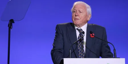 WATCH: David Attenborough delivers emotional speech on climate emergency