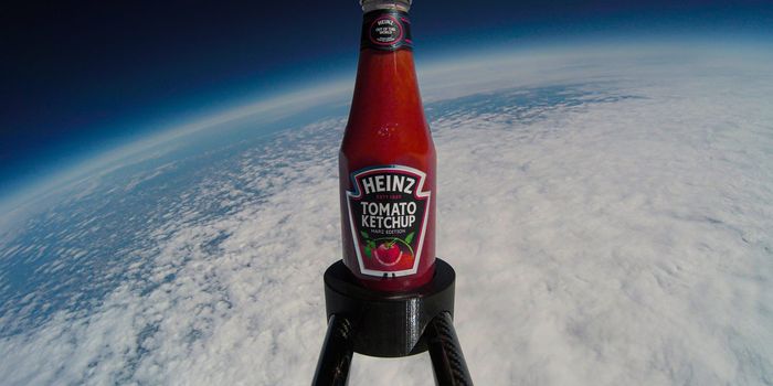 heinz tomato ketchup space