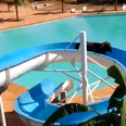 Cow escapes field, heads to resort and gets stuck on water slide