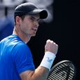 Andy Murray fires back at Nigel Farage over support of Novak Djokovic
