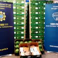 Gardaí arrest man in connection with drugs worth €1.4 million found in fridge