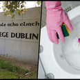 UCD students provided with €30 gift voucher after toilets were contaminated with wastewater