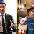 People are discovering Ukrainian President Zelensky voiced Paddington Bear