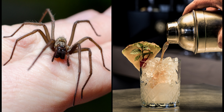 Spider in takeaway cocktail among thousands of complaints received by Food Safety Authority in 2021