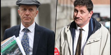 Michael Healy-Rae blasts Eamon Ryan, says Green Party is “hindrance” to environment