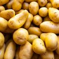 Met Éireann issue warning for potato blight this week