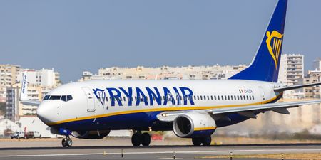 Ryanair steward arrested after being caught on camera drinking during flight