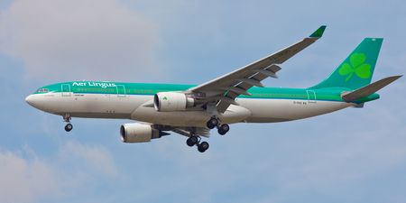 Aer Lingus flight forced to return to Dublin Airport following emergency onboard