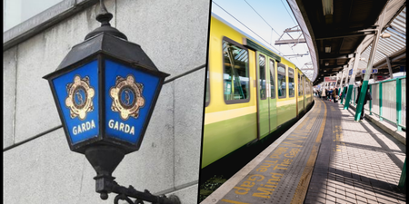 Gardaí to patrol DART, Luas and 8 intercity rail routes to stamp out anti-social behaviour