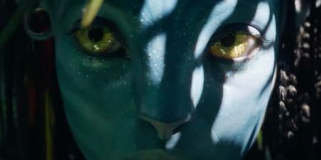 Avatar sequel finally has Disney+ screening date