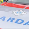 Two children dead following car fire in Westmeath