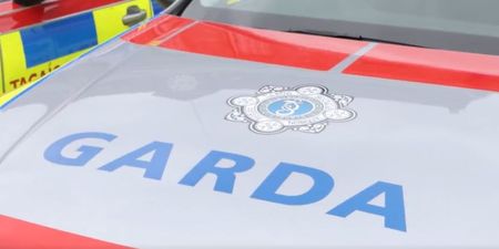 Two children dead following car fire in Westmeath