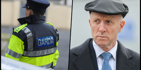 Gardaí need protection from people recording them on their phones, says Michael Healy-Rae