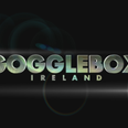Gogglebox Ireland are looking for very particular people to join the new season