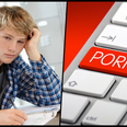 No, pornography is not about to become a Junior Cert subject
