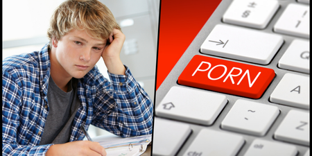 No, pornography is not about to become a Junior Cert subject