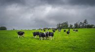 Farmers to be asked to cut carbon emissions by 25% after Government deal