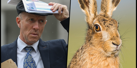 “Slippery slope” – Michael Healy-Rae says banning hare coursing would do more harm than good