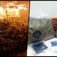 Nearly €400k worth of cannabis seized in Galway