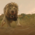 WATCH: Beast star tells terrifying story about a professional lion-hugger