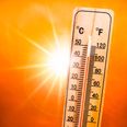 2022’s summer was Europe’s warmest on record, EU scientists say