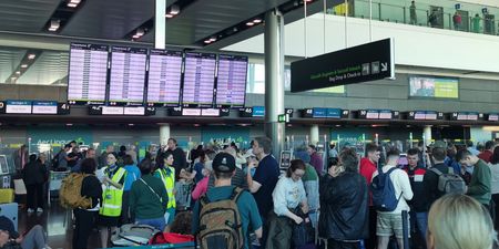 Aer Lingus adding additional services for customers affected by weekend cancellations