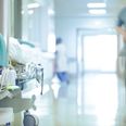 Measures to address “chronic hospital overcrowding” must be core part of upcoming Budget, says INMO