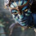 Avatar star has perfect reaction to fifth movie release date