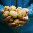 Ahead of National Potato Day, here are 3 reasons to celebrate our nation’s beloved spud