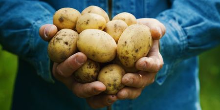 Ahead of National Potato Day, here are 3 reasons to celebrate our nation’s beloved spud