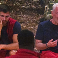 Treatment of contestant on I’m a Celebrity sparks new bullying concerns