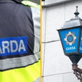 Witness appeal launched after Garda seriously assaulted in Dublin