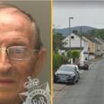 Pedestrian, 84, killed by driver, 96, who had been warned about eyesight