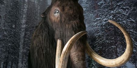 Company given $225 million to bring extinct animals back to life
