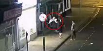 Boozed-up thug slams seagull against wall before launching it across the road