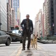 It has finally been explained how Will Smith will return for I Am Legend sequel