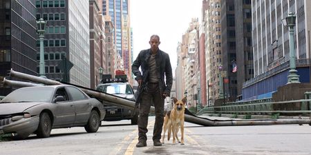 It has finally been explained how Will Smith will return for I Am Legend sequel