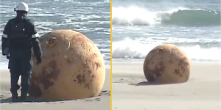Mystery of giant sphere that washed up on Japan beach may have been solved