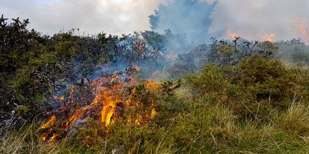 Firefighters battle to keep Cork and Kerry gorse fires under control