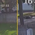 Woman runs car over cheating husband and mistress in CCTV footage