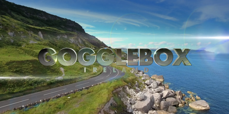 Gogglebox Ireland is looking for new TV fanatics for their new season
