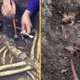 Thousand-year-old skeletons found in Dublin City during hotel build