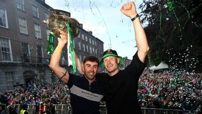 Limerick hurlers make hospital visit to fan injured trying to put up All-Ireland flag