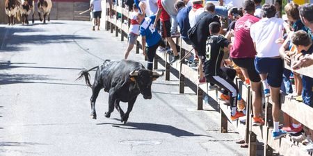 Irish man seriously injured after being gored during bull run in Spain