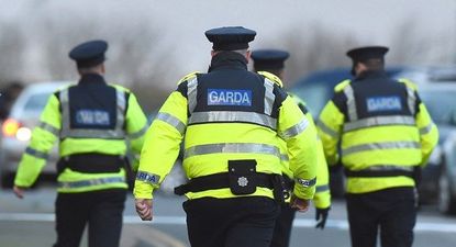 Gardaí issue major update on missing person Jon Jonsson after extensive search in Dublin park