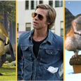 QUIZ: Can you ace this ultimate animals in movies quiz?