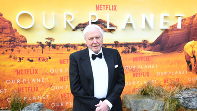David Attenborough to return with new TV series at 97 years old