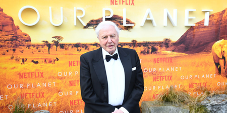 David Attenborough to return with new TV series at 97 years old