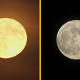 Final supermoon of 2023 set to be visible over next two nights in Ireland
