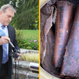 Former RTÉ journalist uncovers ‘180 sticks’ of explosives on his Cork farm